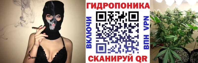Шишки марихуана AK-47  omg зеркало  Дрезна  где продают  